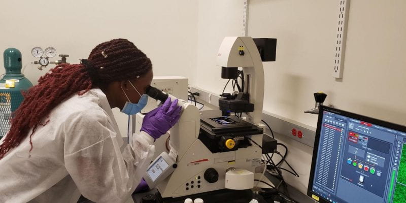 Laureen Abbo Nono (SURPINT alumna) evaluating the amount of live and dead mesenchymal stem cells 24 hours after oxidative stress.